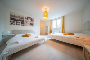 Very nice apartment - downtown Mulhouse Le 42